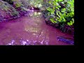 Yam DTR in stream