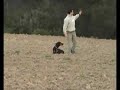 Kay de Bravura Blanca en el XII Cto. de Trabajo del DCE - A
