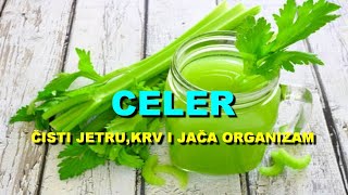 Celer – čisti jetru, krv i jača organizam