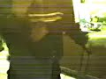 los babosos del nopal 12-21-b
