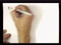 Surface Area