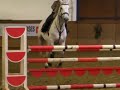 unbelievable!!!! You have see this!!! by www.premiumhorses.de