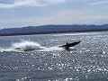 Jet Boat Rooster Tail