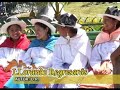 OSWALDO CHAMPI llorando regresaras