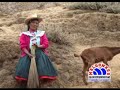 OSWALDO CHAMPI llorando regresaras