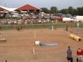 Parade of dogs at E town demo 8 27 09