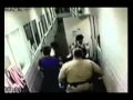 MCSO Jails