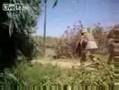 Insurgents Ambush Marines in Iraq