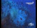 Trident Tech Diving Promo