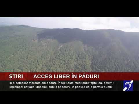 Acces liber în păduri