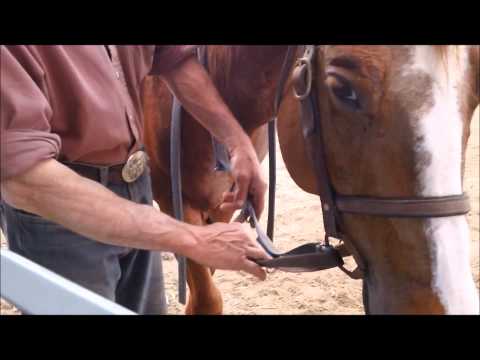 how to fit a d'ring snaffle