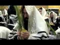 Shaking Lulav and Esrog during Hallel - Ana Hashem