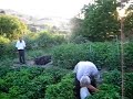 elazig - kovancilar - karakocan