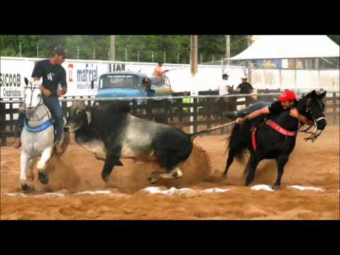 Alex Biquine - Biquine Ranch BA