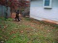 hamby place boxing part 2