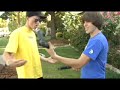 smosh   reunited?