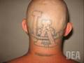 Major Gang Round-Up in Los Angeles