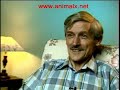 AX  CLASSIC - BLACK CAT OF KILLARKEE PART 2