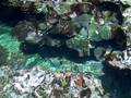 videos de Secret Beach
