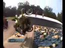 Ostion en moto, freestyle nitro circus