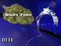 Daily Toke on a Pocket Full of STARS Daily Toke on a Pocket Full of STARS