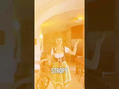 Video Unikátní historická usedlost 15 min. od Brna | 12 336 m² | restaurace | stáje | investiční potenciál