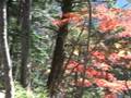 videos de 04.wmv