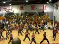 Boomerang- amerikick willow grove