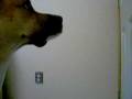 videos de 001.AVI