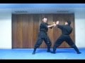 FREE Nintaijutsu for youtube #016