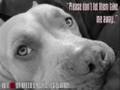 BSL = BS Save the Pitbulls