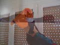 Pu�a