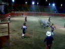 CAMPEONATO ESTATAL HIDALGO