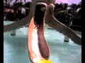 swim2