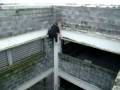 liptrickz parkour, 3run