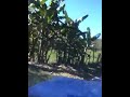 La Aldea, Chalatenango El Salvador