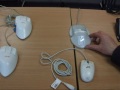 Alternative Mouse Options