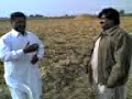 Ghulam Nabi Umrani Farm