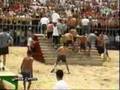 Cojidas De Toros