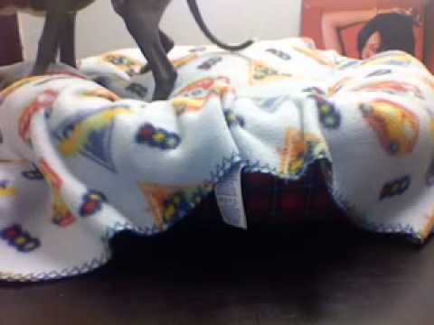 New Puppy At Work