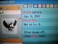 my diamond shinies version 2  poke radar 