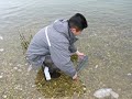 Successfully Releasing a Schoolie