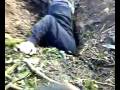 videos de diggin for ferret early sunday morning