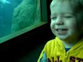 Polar Bears & Jacob at the Rochester Zoo