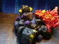 Another Radio song -Okkervil river - CLAYMATION!