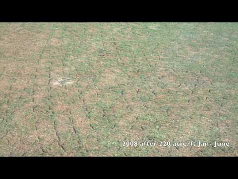how to fertilize golf greens