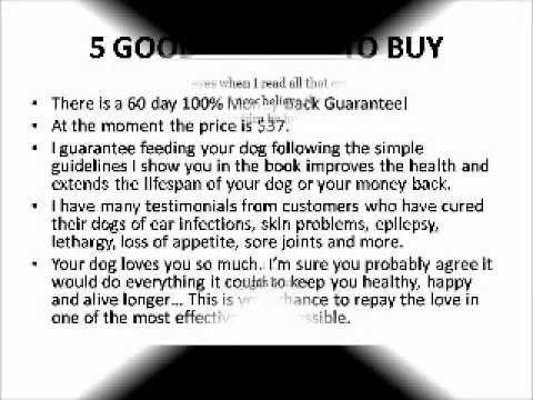 how to treat a shih tzu with diarrhea