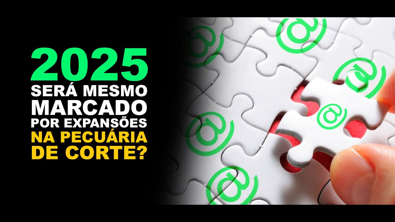 2025 Será Mesmo Marcado Por Expansões Na Pecuária De Corte?