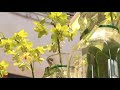 International Horti Fair House of Retail