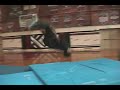 gymnastics